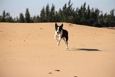 大手发力了！ 《最终幻想14》热门MOD因受到法律调查被下架